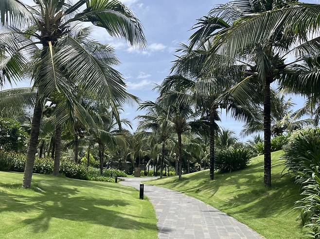 야자수가 늘어선 리조트. [사진 = 최아영 기자]