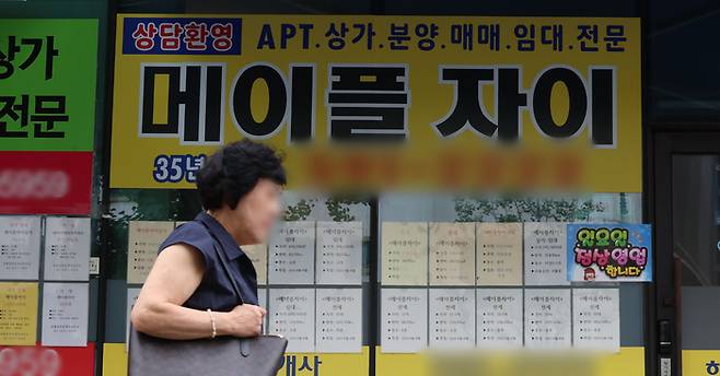 정부가 28일부터 6억원 이상 주택담보대출을 금지하는 초고강도 대출 규제를 시행하면서 서울 아파트의 74%가량이 대출액 감소가 불가피해졌다는 분석이 나와 혼란이 예상된다. 사진은 내일부터 입주가 시작되는 서초메이플 자이 분양 관련 문의가 붙은 부동산 앞으로 한 시민이 지나가고 있다. [이승환 기자]