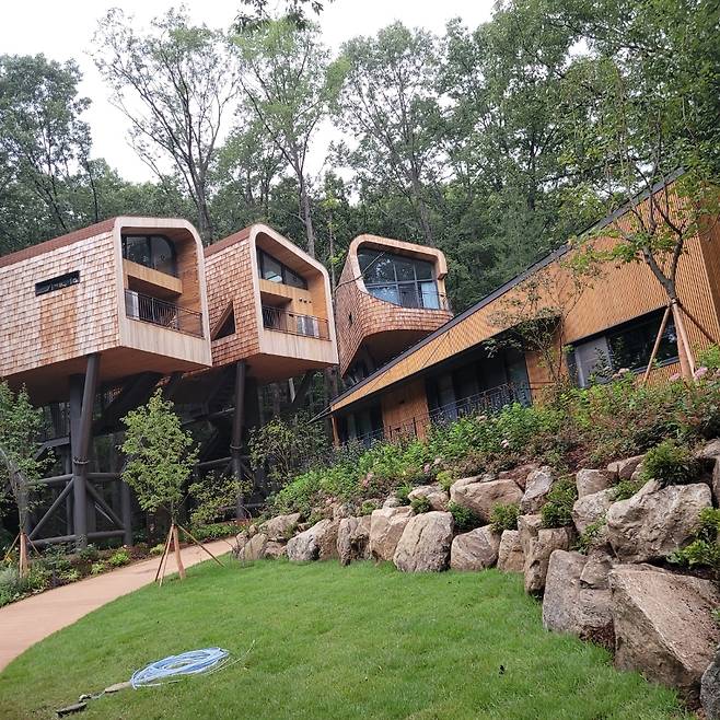 수락휴의 명품 트리하우스