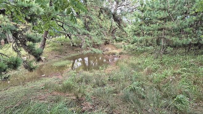 산골조개 서식지[국립생태원 제공]