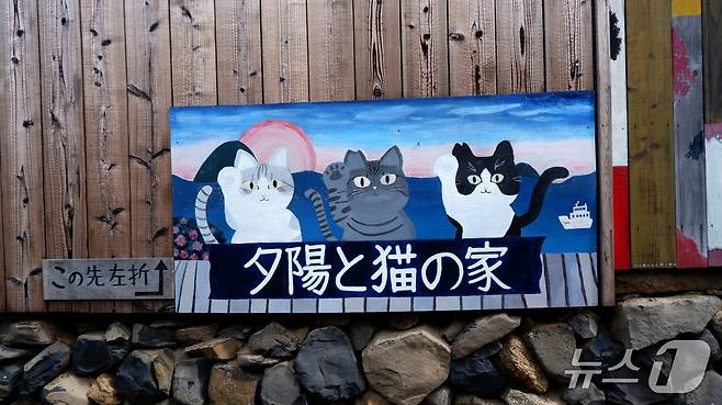 오기지마는 고양이가 많아 고양이 섬으로도 불린다. ⓒ News1 윤슬빈 기자