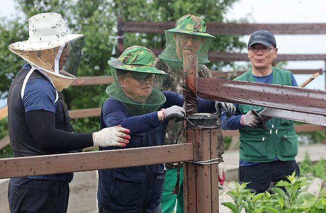 30일 오후 인천 계양구 계양산 정상에 붉은등우단털파리(러브버그) 무리가 대량 출몰한 가운데 계양구청 공원녹지과 산림보호팀 관계자들이 방역 및 날벌레 트랩을 설치하고 있다. 2025.6.30/뉴스1 ⓒ News1 김진환 기자