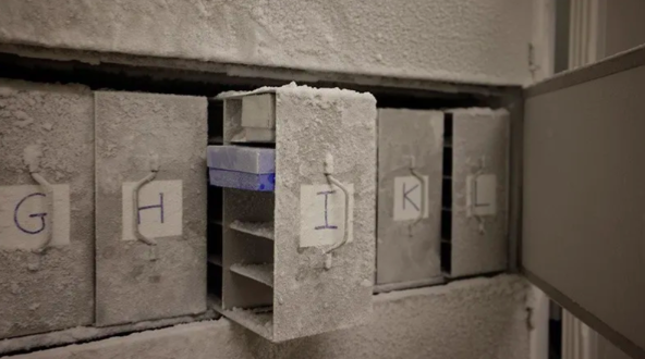 스위스 취리히 대학교 냉동고에 보관 중인 미생물 샘플. 마이크로바이오타 볼트 이니셔티브