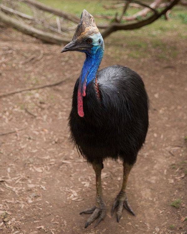 ⓒ게티이미지뱅크