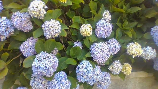 1a94fe19b7826af33ee985e529807202797c367b6c6010050f812eaa794be91e466ec01b45f0d54472