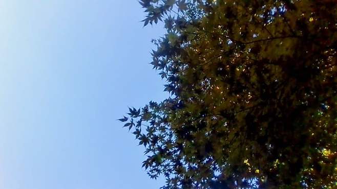 1a94fe19b7826af33ee985e529807202797b367d6c6010050f812eaa794be91e1c03a2e13595aa8616