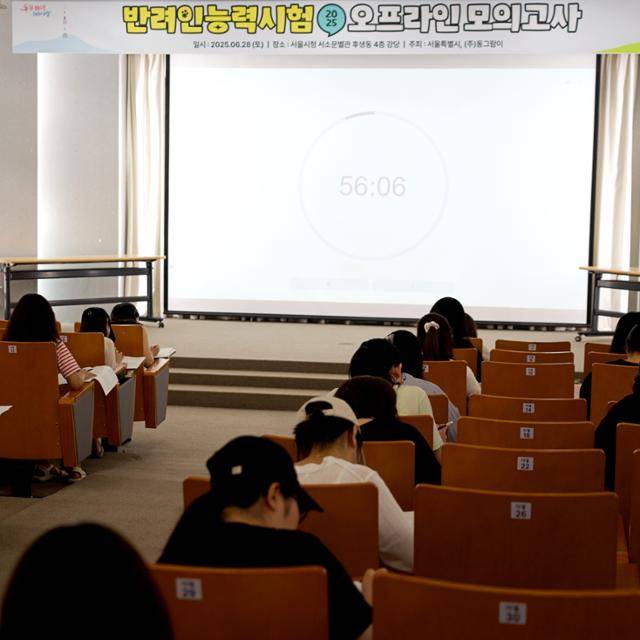 지난 28일 서울시 서소문청사에서 열린 '2025 반려인능력시험 모의고사' 현장에서 응시자들이 문제를 풀고 있다.