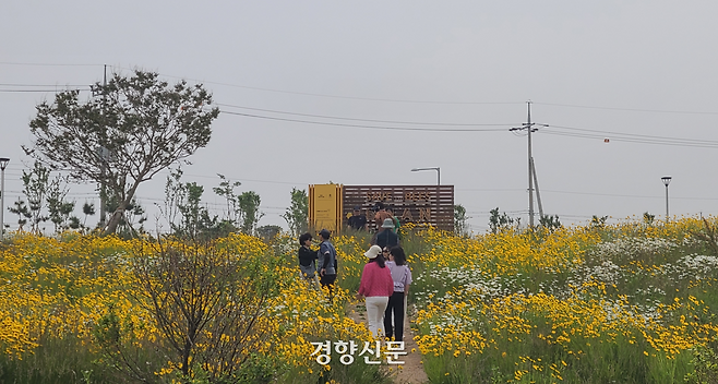 길게 늘어선 금계국과 샤스타데이지가 활짝 핀 꽃밭 사이로 관광객들이 야생 벌을 위한 집 ‘비호텔(bee hotel)’을 보기 위해 걸어가 있다. 김창효 선임기자