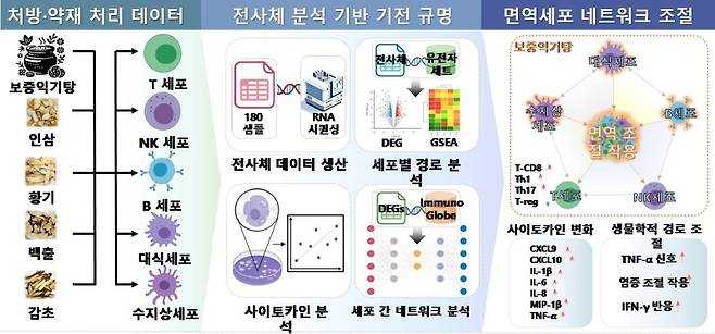 전사체 및 네트워크 분석을 통한 보중익기탕의 면역조절 기전 분석. 한국한의학연구원