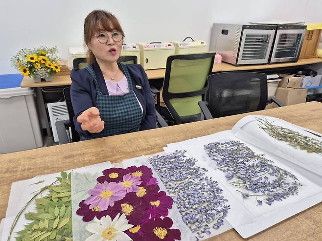 이연심 작가가 벽골제창작스튜디오에서 자신이 말려 놓은 각종 꽃과 잎들을 가르키며 건조 과정에 대해 설명하고 있다.