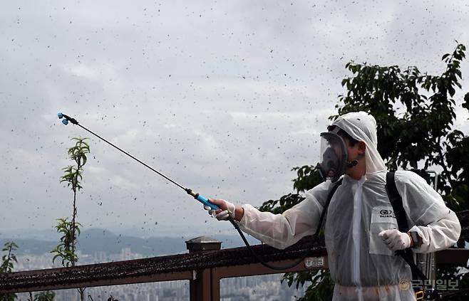 한 유튜버가 30일 계양산 정상에서 맹물을 뿌리고 있다. 이 유튜버는 러브버그에게 물을 뿌려 날개가 젖으면 날지 못한다고 설명했다.
