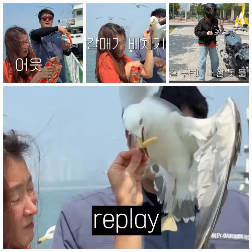 사진 = 유튜브  ‘뿌시영’