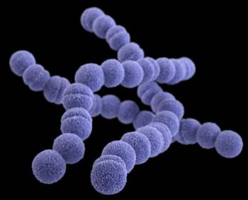 A군 연쇄상구균 3차원 이미지./사진=미국 질병통제예방센터