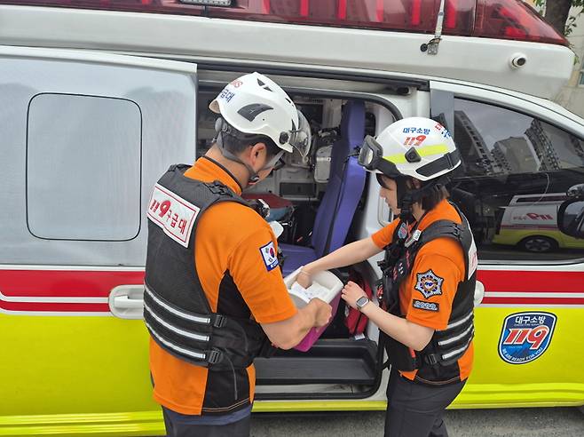 [대구소방안전본부 제공]