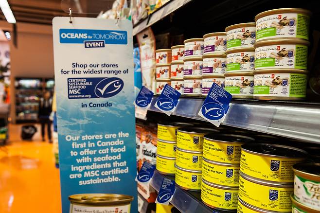 마트에 MSC 인증 제품이 놓여있다. [MSC 제공]