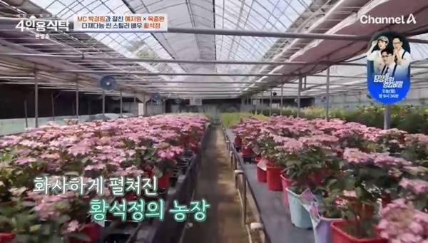 채널A ‘절친 토큐멘터리 4인용식탁’ 캡처