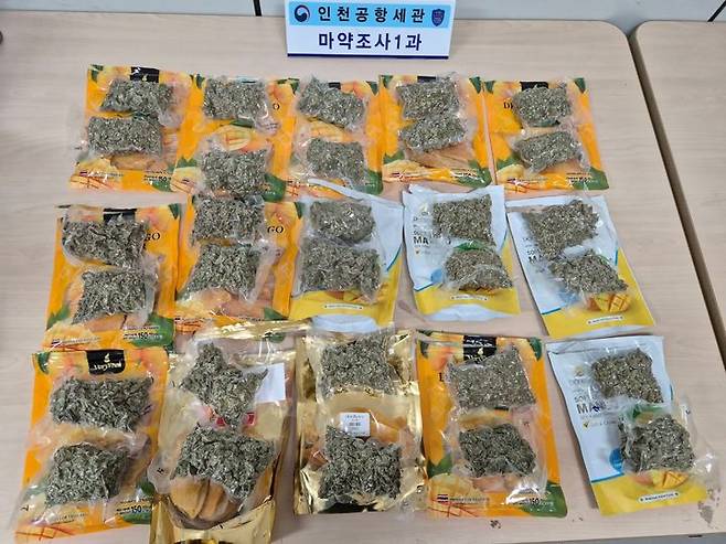[서울=뉴시스] 3.1㎏의 대마초를 건망고 안에 밀봉시켜 국내로 반입하려던 태국인 2명이 인천공항에서 지난달 7일 붙잡혔다. 사진은 이들이 건망고 속에 밀봉한 대마초. 2025.06.30. (사진=인천공항본부세관 제공) photo@newsis.com *재판매 및 DB 금지