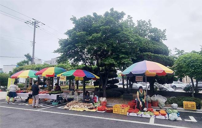 동해시 농산물 직거래장터 [동해시 제공. 재판매 및 DB 금지]
