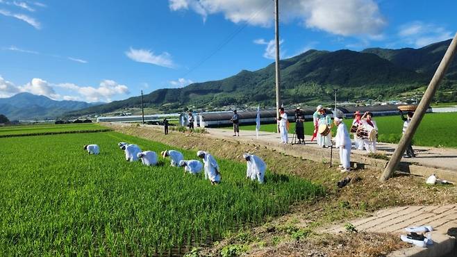 원평지마을 들소리·농요 시연  [진안군 제공. 재판매 및 DB 금지]