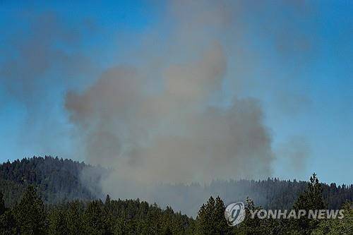 29일(현지시간) 아이다호 캔필드산에서 난 산불로 피어오르는 연기 [로이터=연합뉴스]