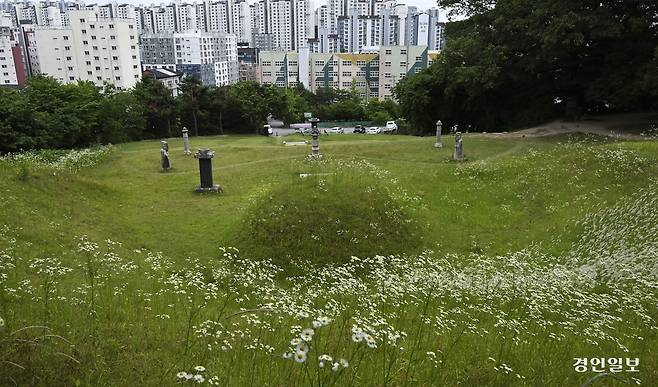 용인시 기흥구 소재 민영환 선생 묘(경기도기념물 제18호). 2025.6.15 /이지훈기자 jhlee@kyeongin.com