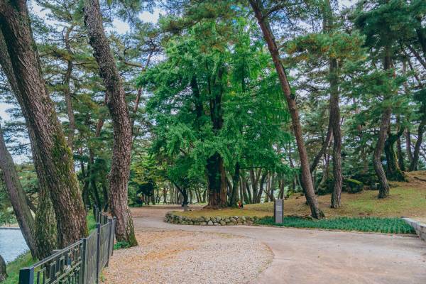 소수서원 경내로 이어지는 아름다운 둘레길