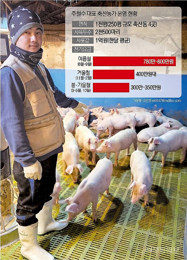 전라남도 순천시 상사면에서 20년 째 양돈농장을 운영하고 있는 주철수(56) 대표가 폭염과 사육의 상관관계를 설명하고 있다.