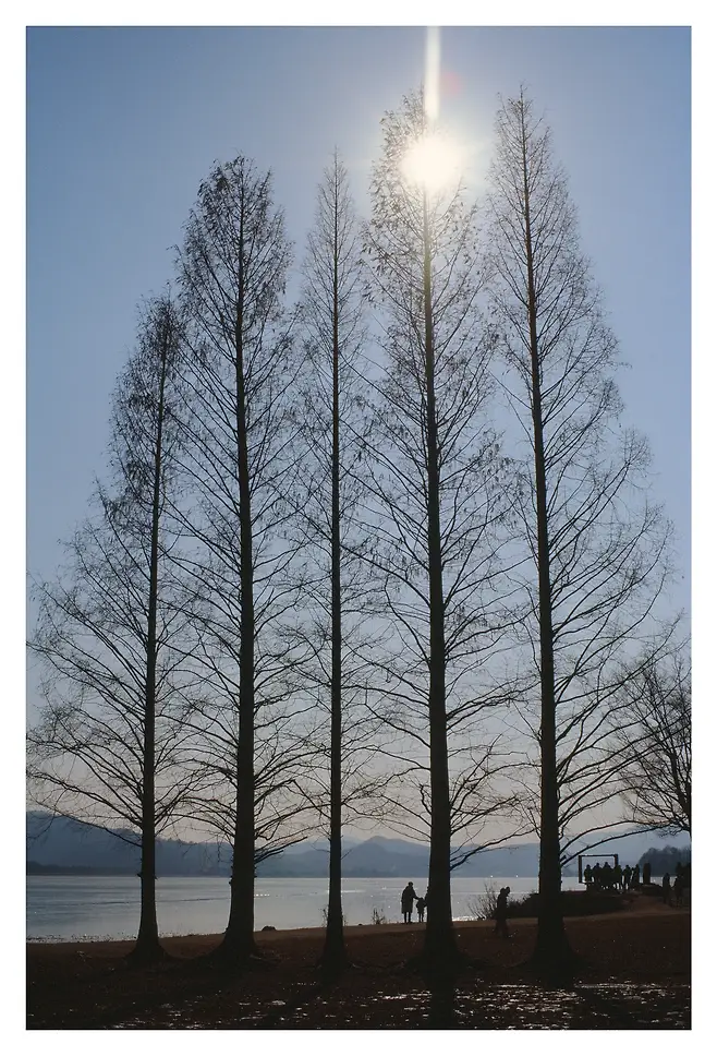 0f98f274c48768f323e8f5e3459c7064d23010bed8e115acd332966958d6278a35fe930debad53988c054b1bac1dbca16f5d0cf63825