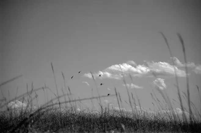 0bb2dd27f5d336eb3f8085fb01d4262d18841aaacbbe9ce5cfb53315