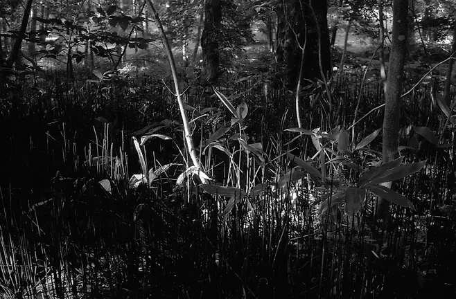 0bb2dd27f5d336f43eefe98d02de286c2bdf1fafc0e40ca2a5dd2a672fdbfc34f2fb00f1ad09