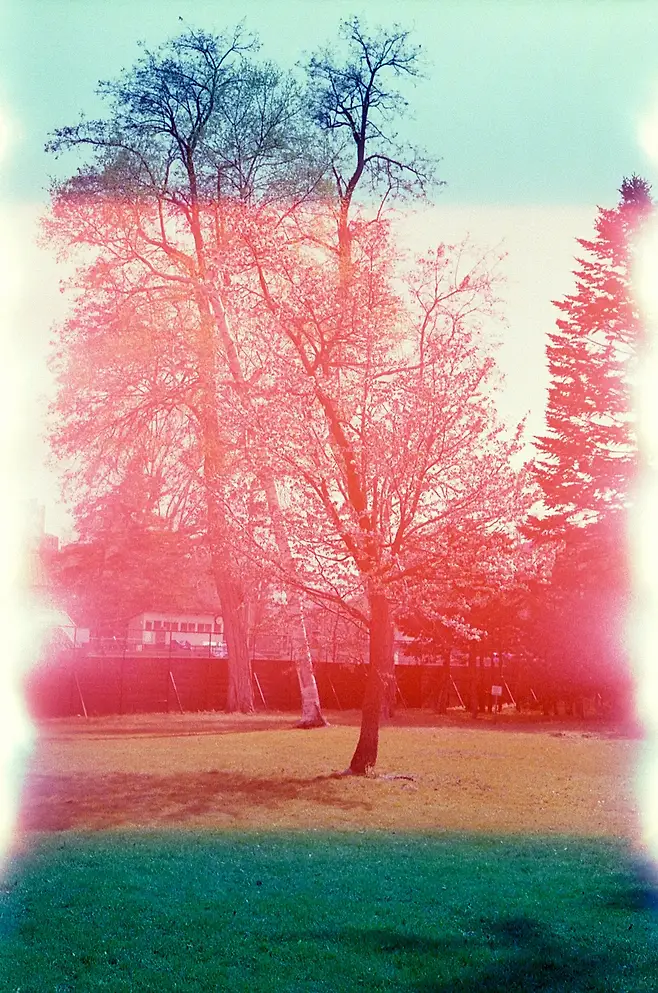 3ebed128da816be63cf1c1b014c104037f3c317f08ac13cd2e29