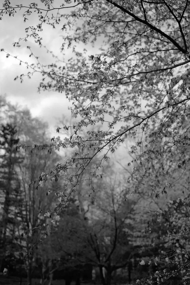 3ebed128da816de879bad4a536ef203e9c87ff5b883825a8