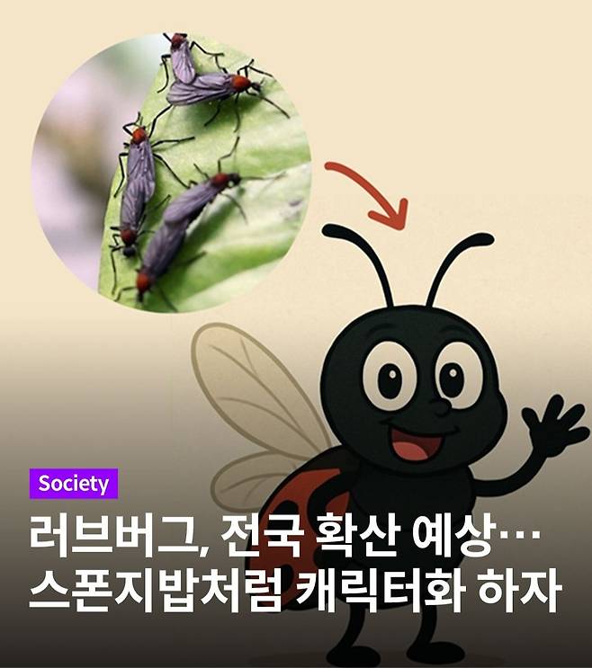 singlebungle1472-20250701-194510-000.jpg 러브버그 캐릭터화 하자