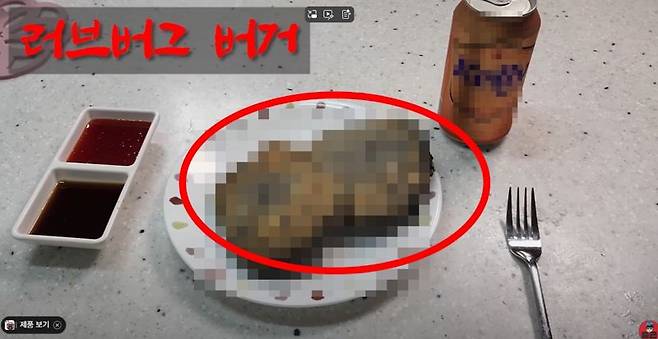 러브버그로 만들어진 햄버거. 사진은 모자이크 처리. 사진=유튜버 '이충근'