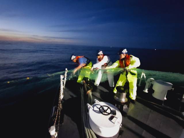 ▲ 동해해양경찰서는 최근 묵호항 북동방 8.3㎞ 해상에 부유중인 대형 해양 폐기물을 수거했다.