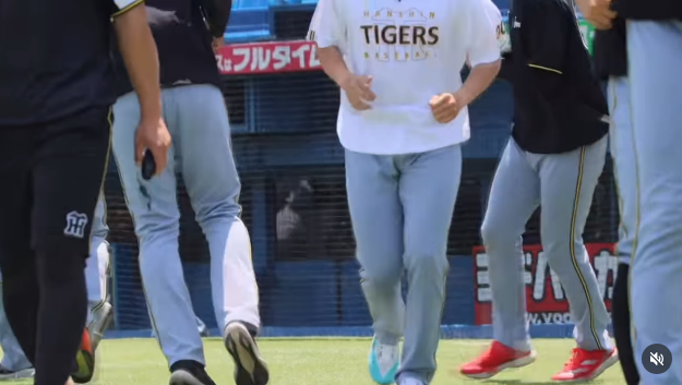 한신 타이거스 공식 SNS