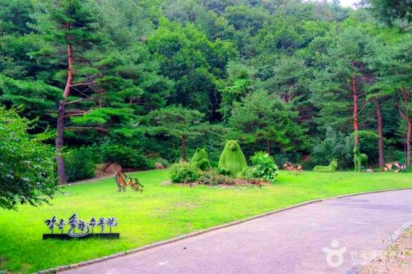 솔향수목원 (사진-한국관광공사)