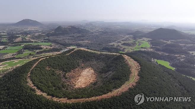 백약이오름 일대 [연합뉴스 자료사진]
