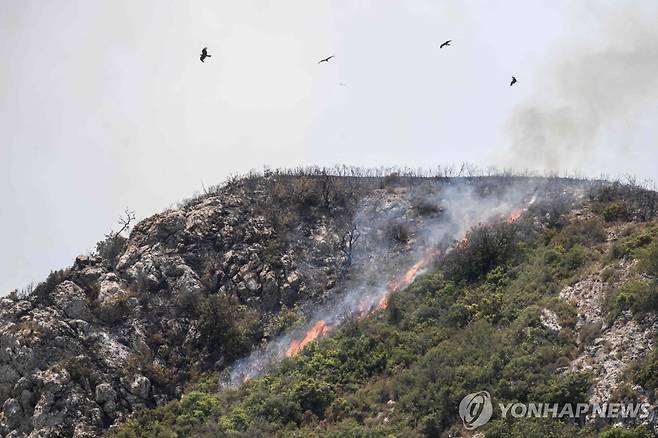 프랑스 비자네에서 발생한 산불 [AFP=연합뉴스 자료사진. 재판매 및 DB 금지]
