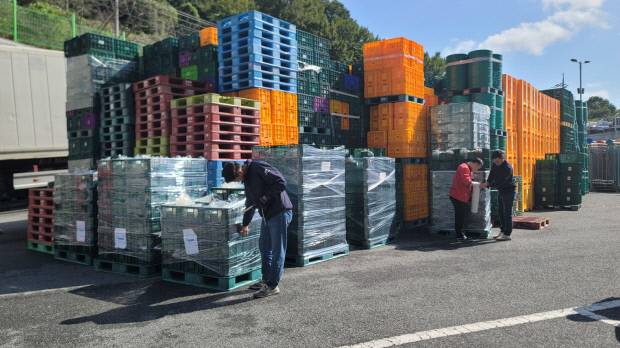 광주광역시는 2일 광주김치 1.5톤(1만3000달러 상당)을 미국에 수출했다. 광주광역시 제공