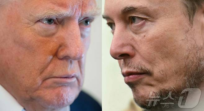 도널드 트럼프 미국 대통령과 일론 머스크 테슬라 CEO. ⓒ AFP=뉴스1 ⓒ News1 강민경 기자