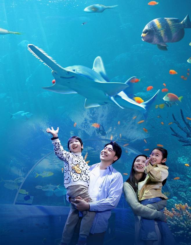 ◇칭다오 해저세계. 사진제공=칭다오문화관광국