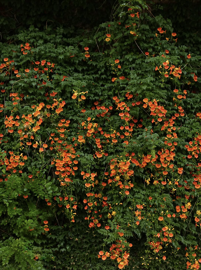 인스타그램 @won.phot0