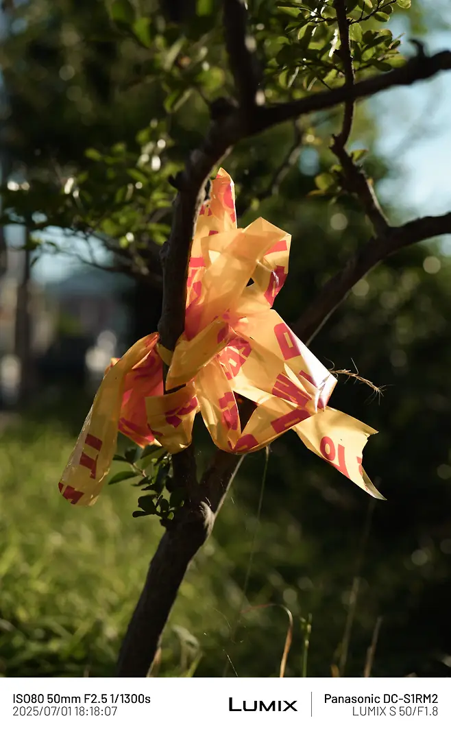 7aed8076c6811c8223e8f3ec439c7019da010c404addf02a7ba0281a0bae42bea33b9132972e209ad45afa4868a22a2aeb454295bde9