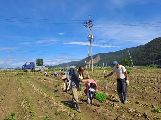 충북도가 2023년부터 시행한 충북형 도시 농부는 도시에 사는 유휴인력을 농촌 현장에 보내 일손을 돕는 사업이다. 사진 충북도