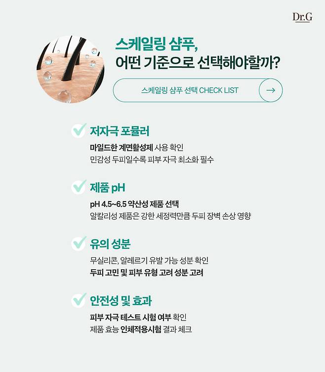 스케일링 샴푸 선택 체크리스트