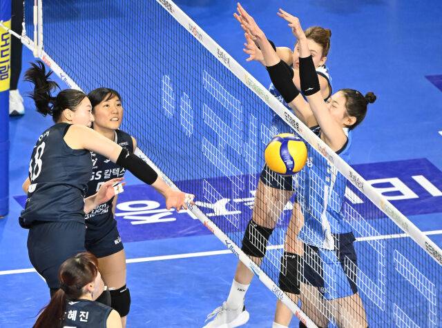 2024-2025시즌 V-리그 여자부 경기./KOVO