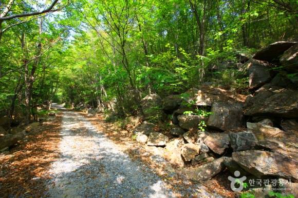 피아골 계곡 (사진-한국관광공사)