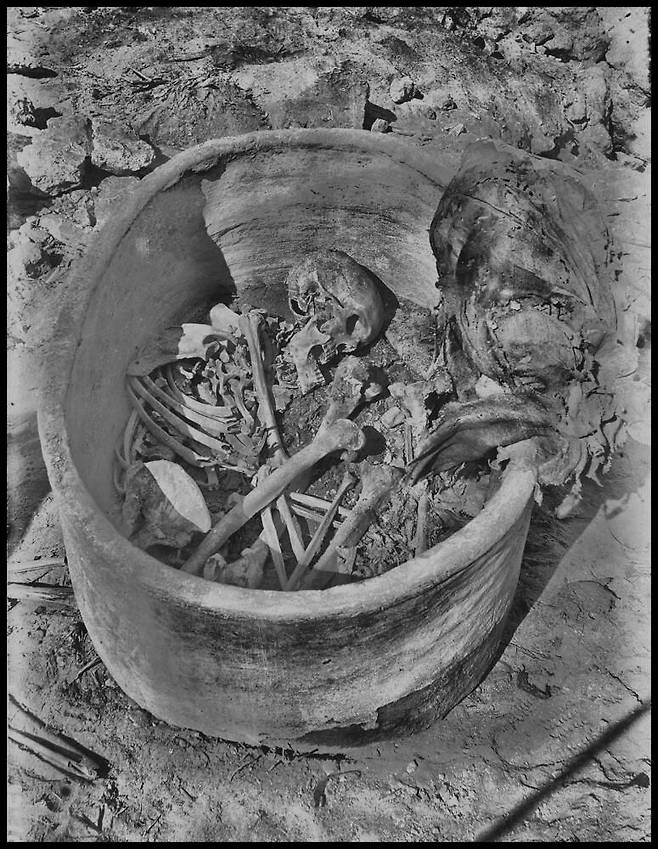 1902년 이집트 카이로에서 남쪽으로 약 265㎞ 떨어진 누와이라트 마을의 암벽 무덤에서 나온 유골. 치아에서 DNA를 채취해 고대 이집트인의 유전체를 처음으로 완전 해독했다./영 리버풀대