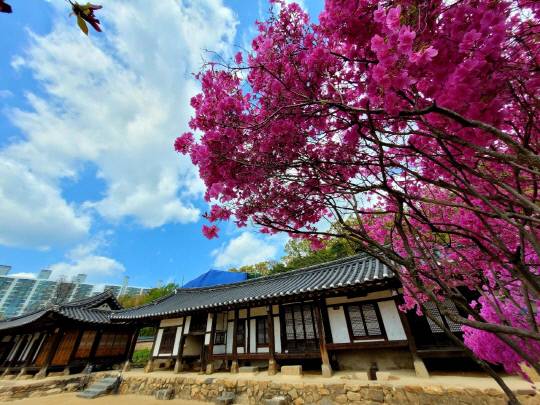 대덕구 송촌동에 위치한 송익흠의 사랑채 '오숙재'. 윤정원 씨 제공